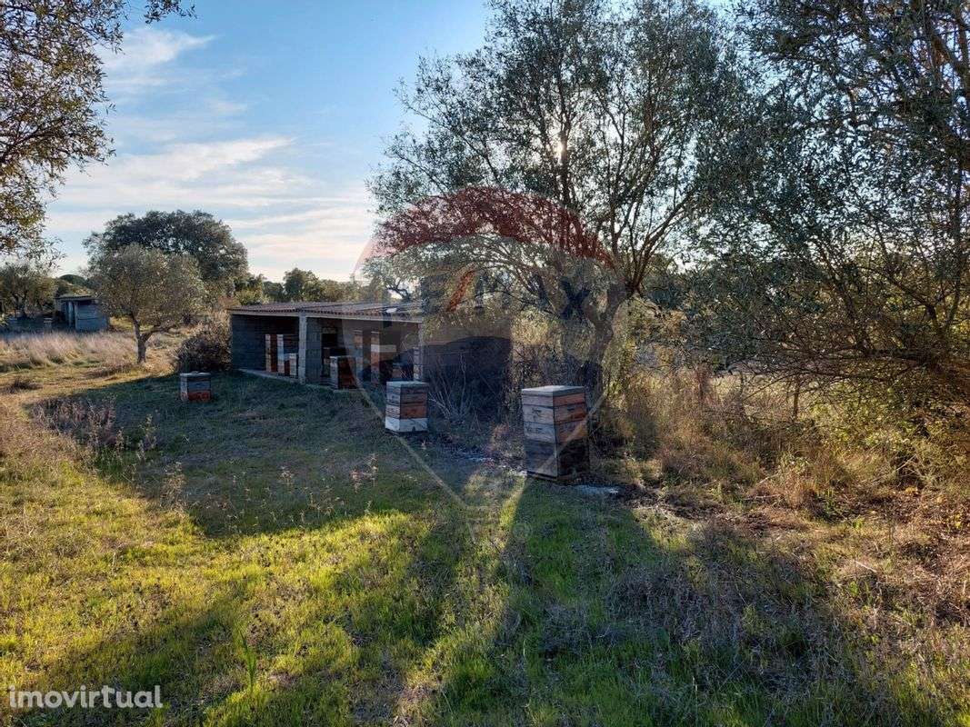 Terreno  para venda - Grande imagem: 4/11