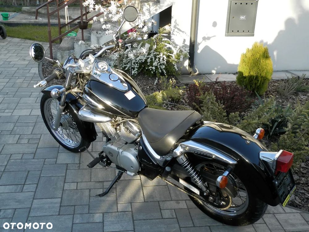 Suzuki Intruder - 8