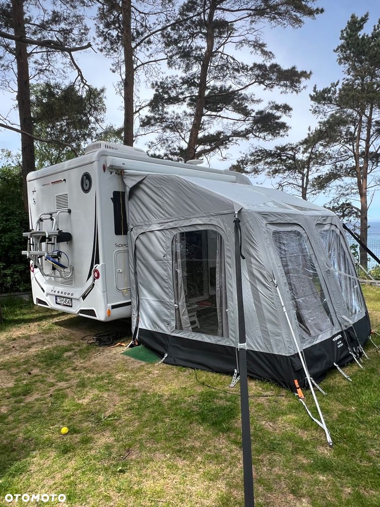 Benimar 481 T24 Special Edition - 13