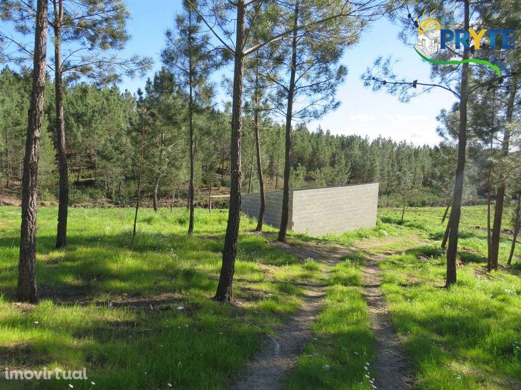 Quinta situada perto de Proença-a-Nova - Grande imagem: 3/21