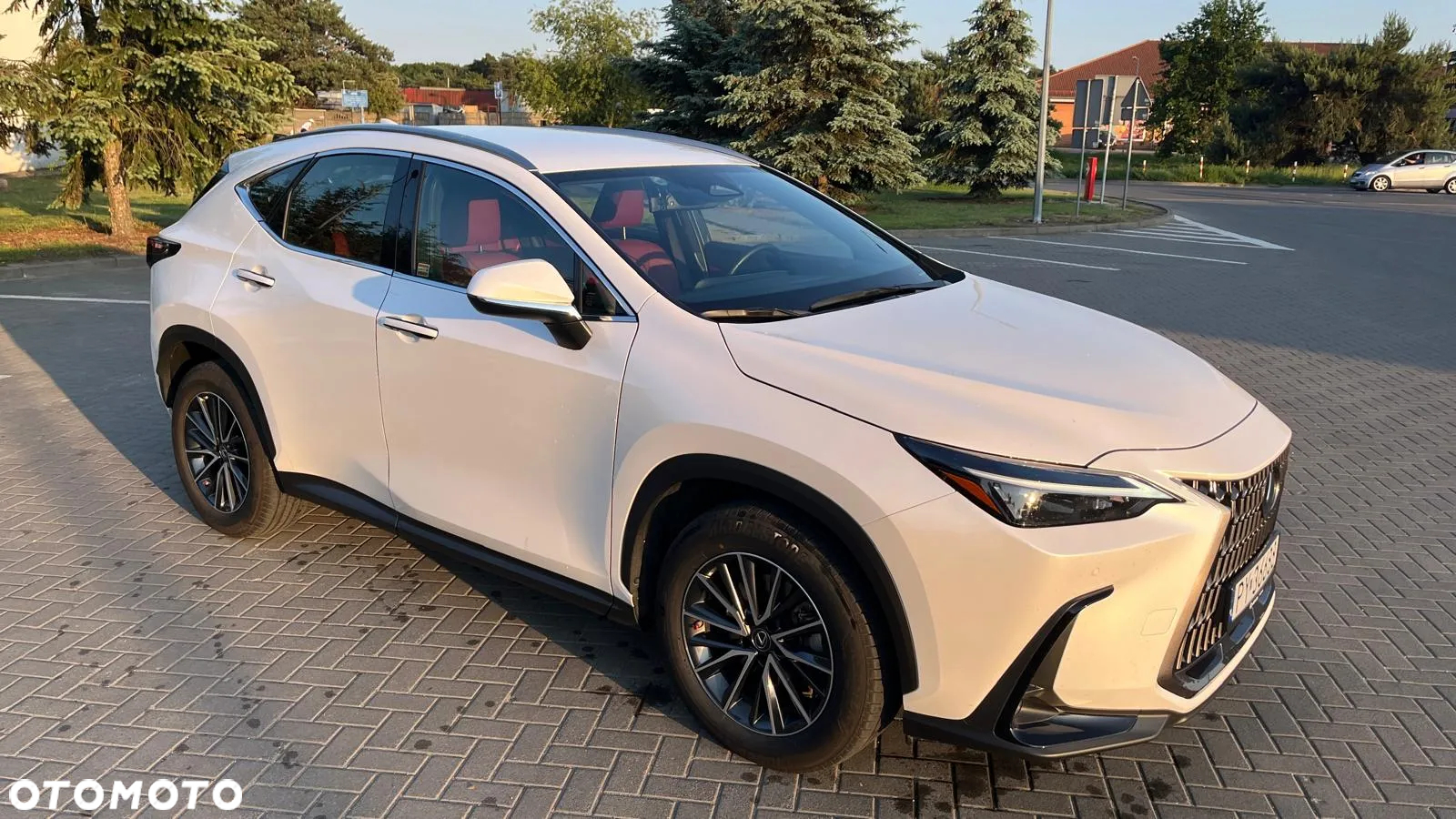 Lexus NX 350h Business AWD - 5