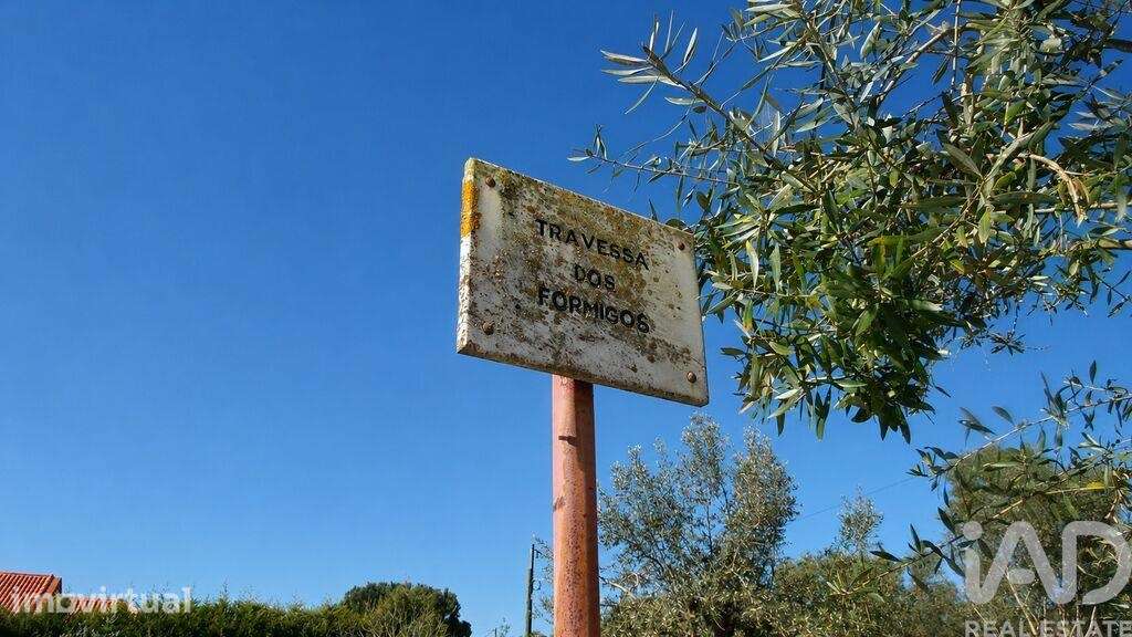Terreno Agrícola em Meia Via - Grande imagem: 3/5