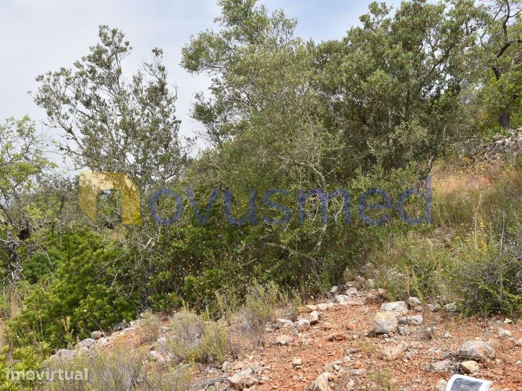 Terreno rústico situado nos arredores de Paderne, Albufeira. - Grande imagem: 5/19