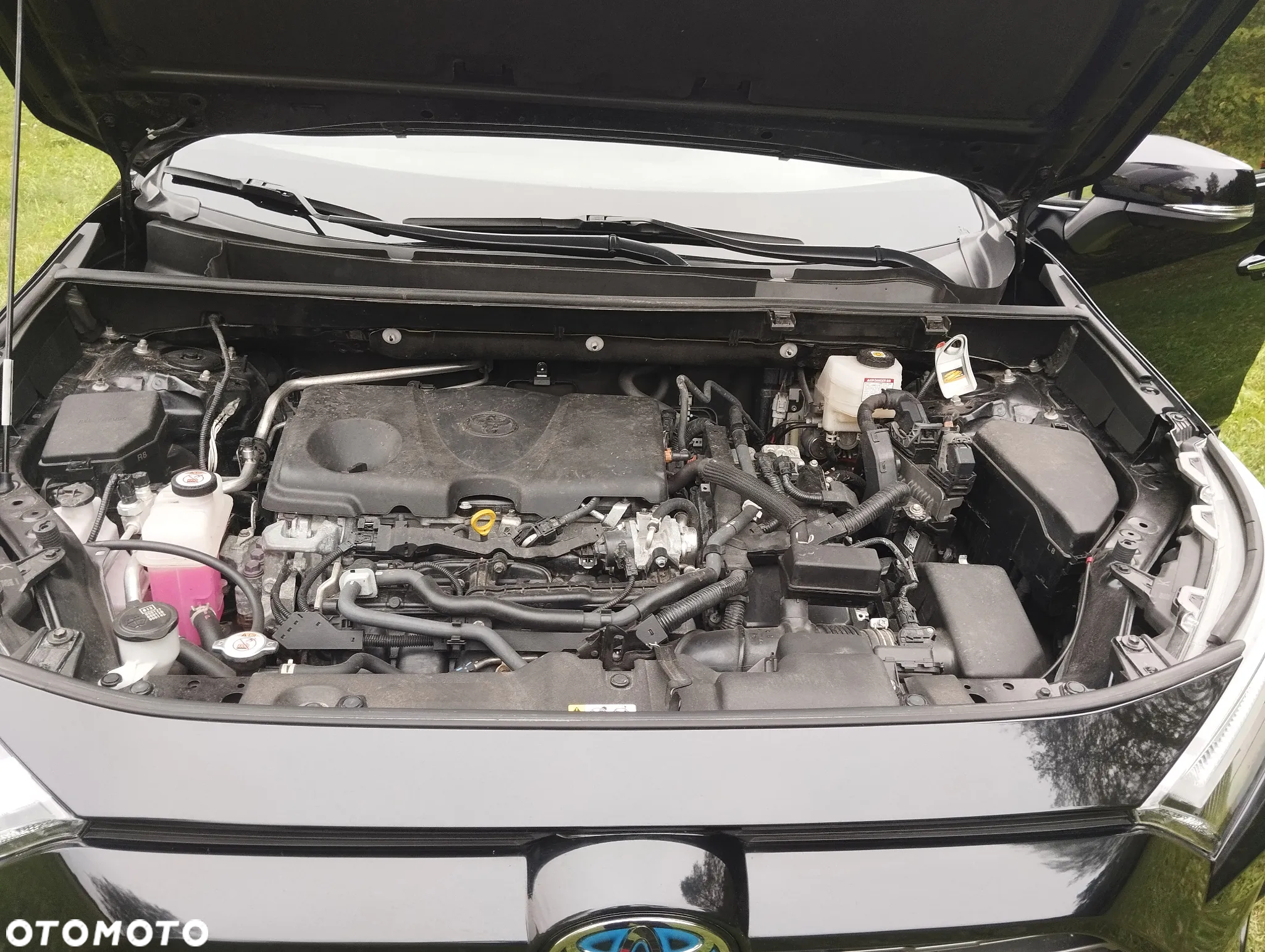 Toyota RAV4 - 18