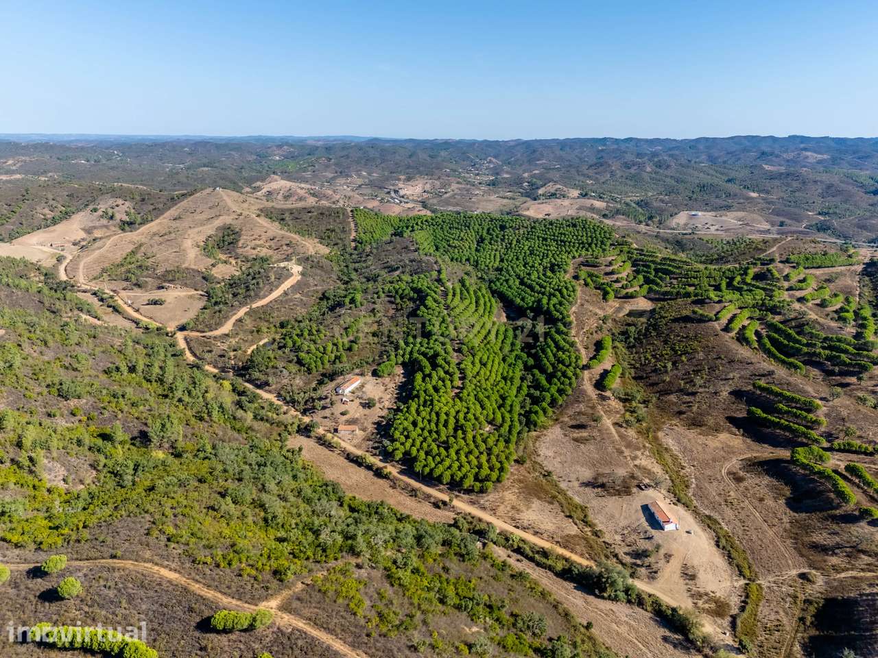 Monte com duas moradias e cerca de 20 hectares em São Marcos da Serra - Grande imagem: 4/18