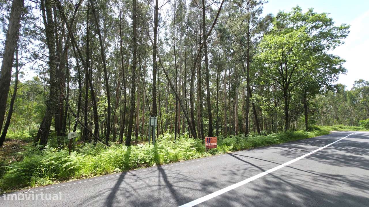 Terreno p/ construção Fervença Celorico de Basto - Grande imagem: 3/8