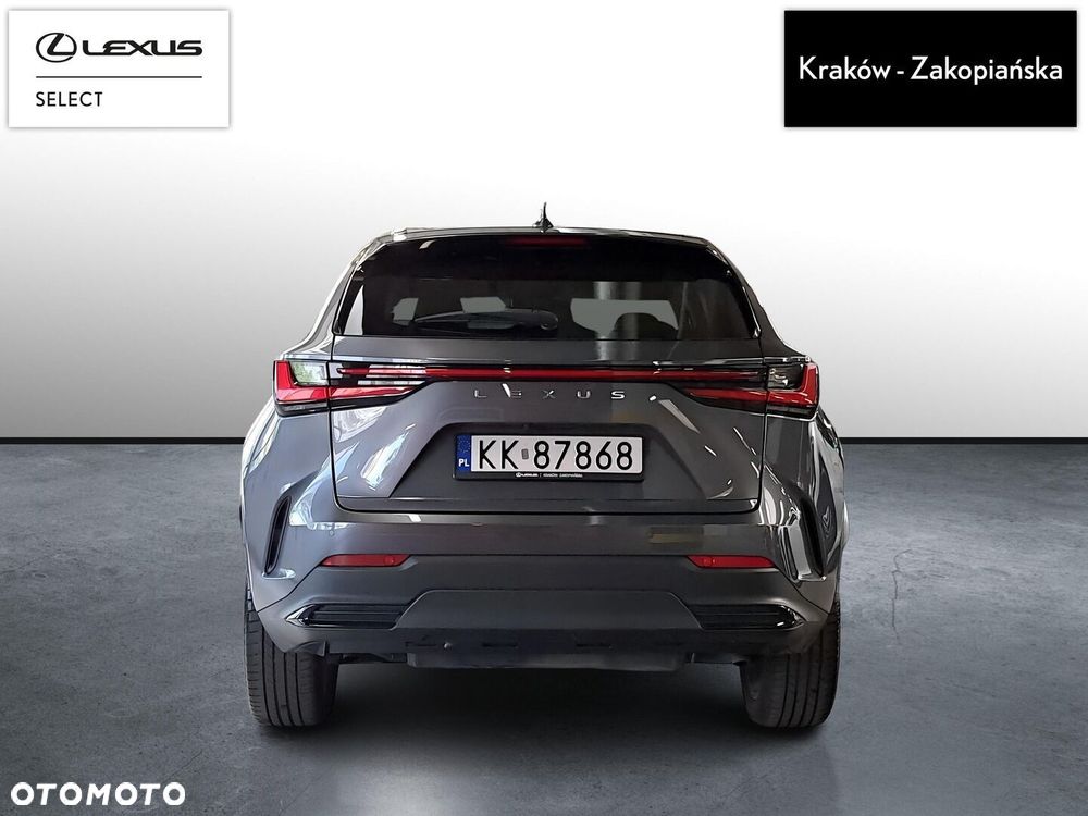 Lexus NX 350h Omotenashi AWD - 9