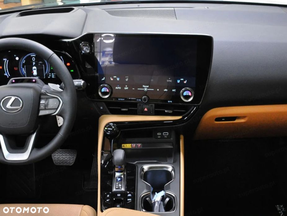 Lexus NX - 15