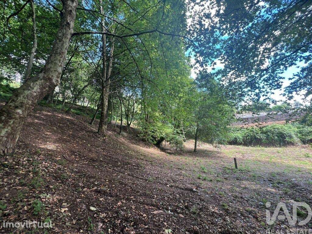 Terreno em Recezinhos (São Mamede) de 4398,00 m2 - Grande imagem: 3/25