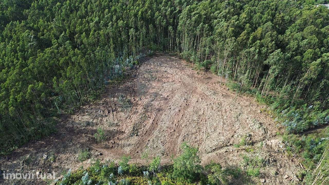 Terreno  para venda - Grande imagem: 5/9