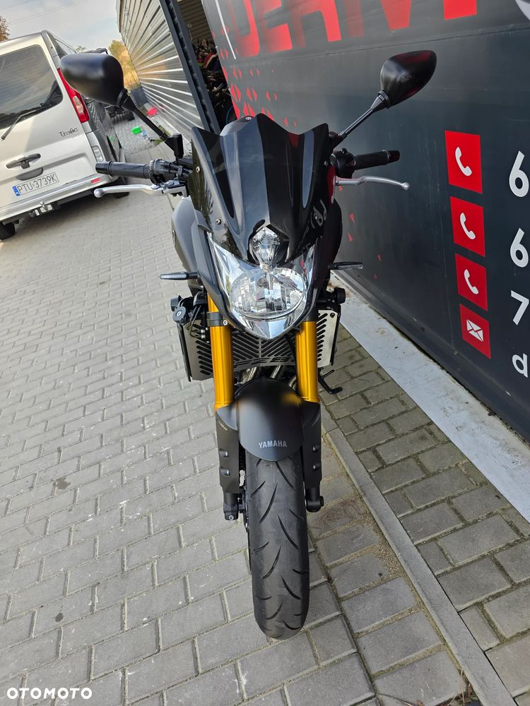 Yamaha FZ8 - 30