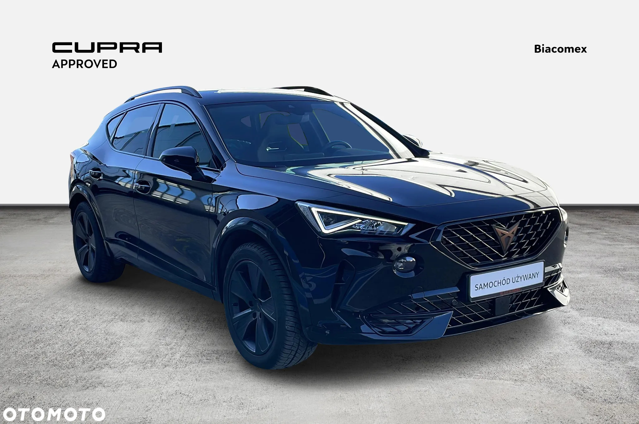 Cupra Formentor 2.0 TSI 4Drive DSG - 7