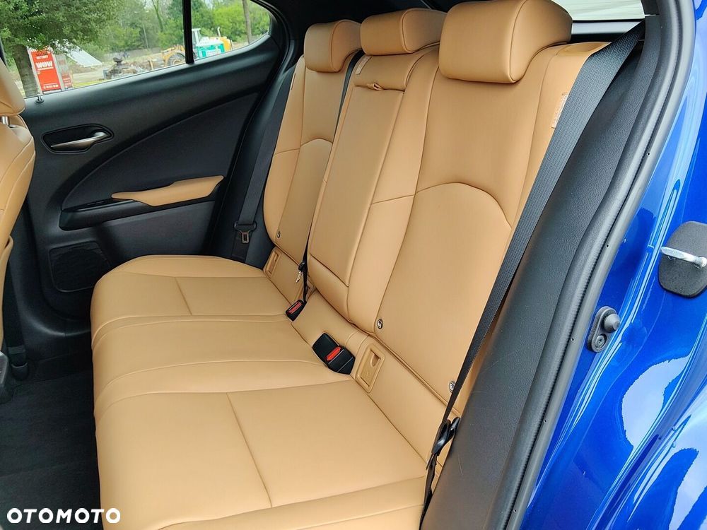 Lexus UX 250h GPF F Sport Design 2WD - 15