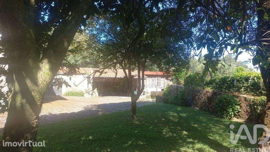 Casa de Campo T3 em Facha de 257,00 m2 - Grande imagem: 3/30