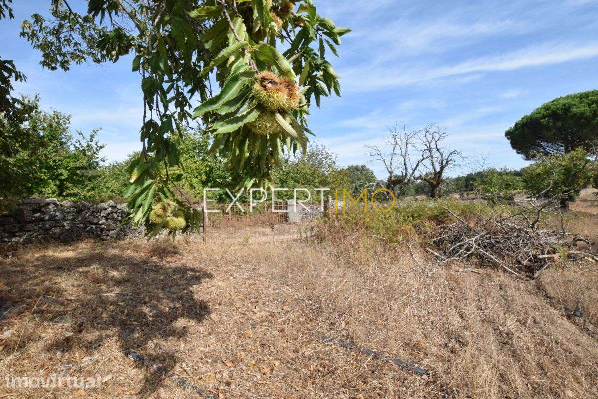 Propriedade com 4,45 hectares - 3 Km Barragem Apartadura - Grande imagem: 5/20