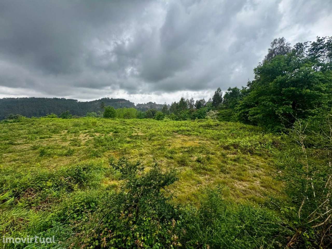Terreno Rústico com 4.000 m² em Este São Mamede, Braga – Tranquil - Grande imagem: 5/11