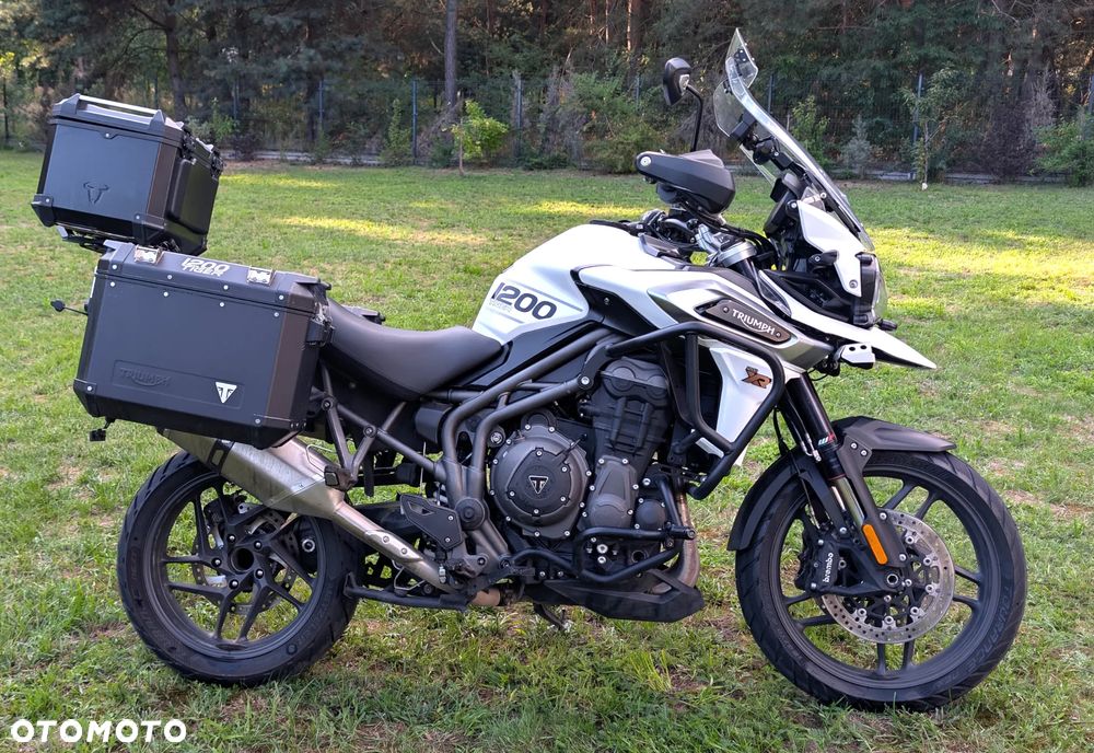 Triumph Tiger - 1