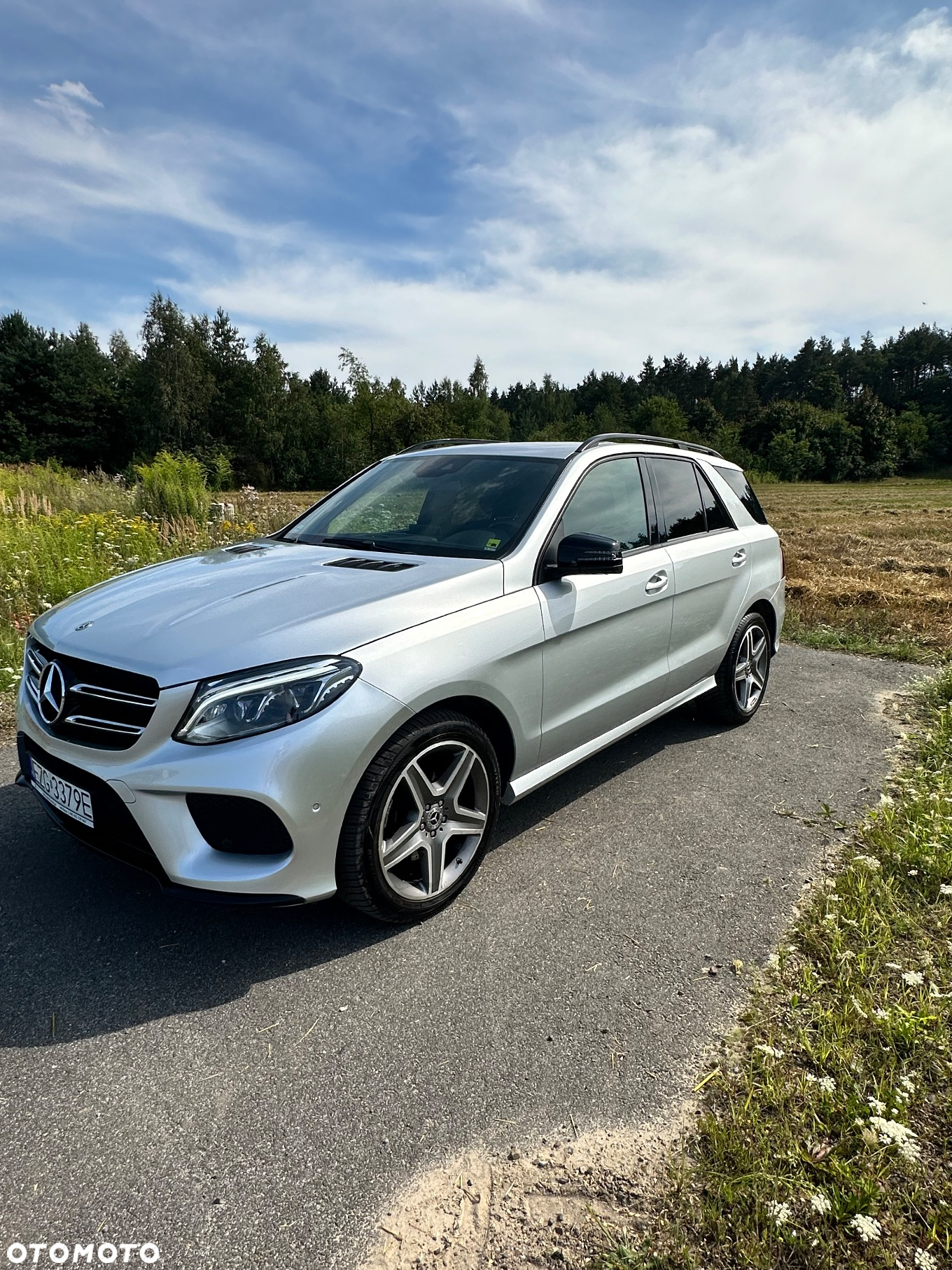 Mercedes-Benz GLE 350 d 4-Matic - 2