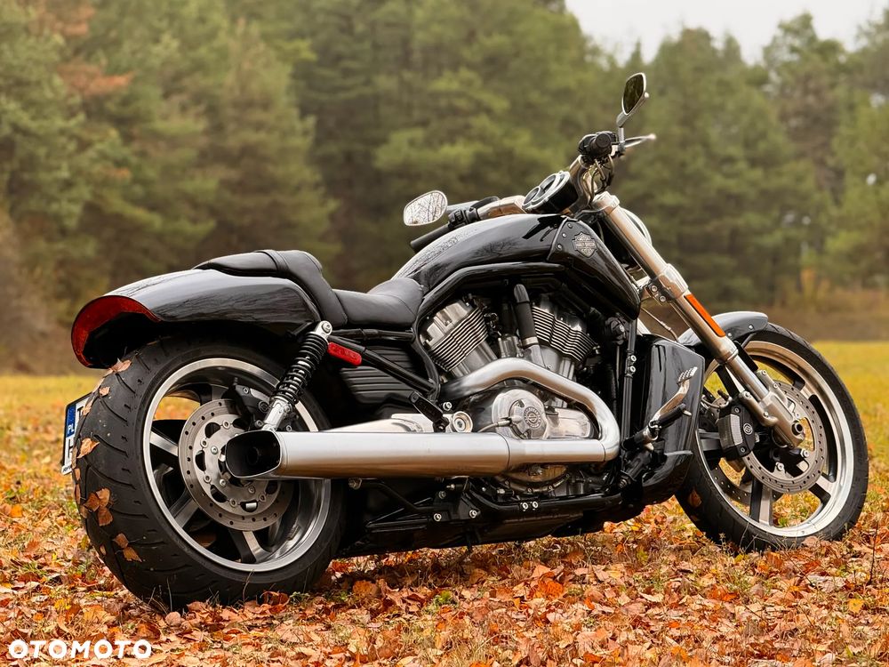 Harley-Davidson V-Rod Muscle - 4