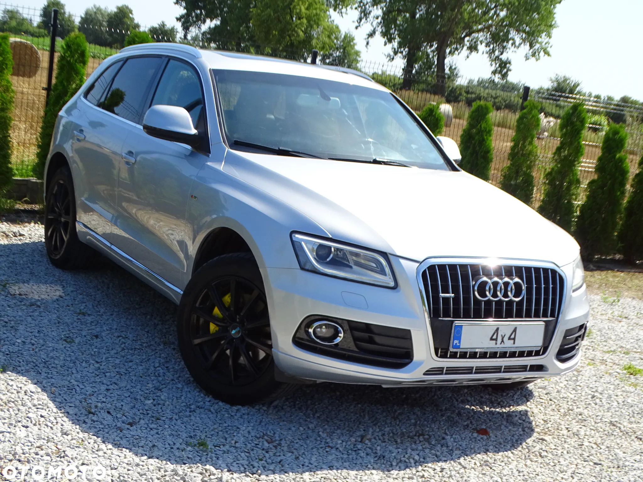 Audi Q5 3.0 TDI Quattro S tronic - 24