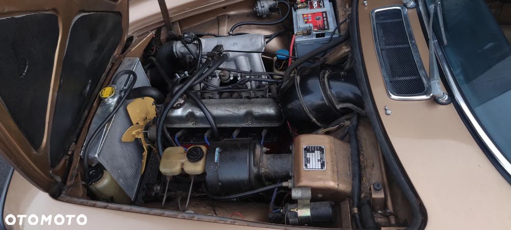 Volvo P1800 - 8