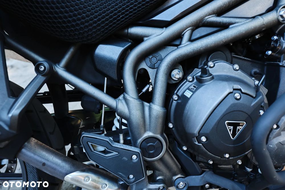 Triumph Tiger - 33