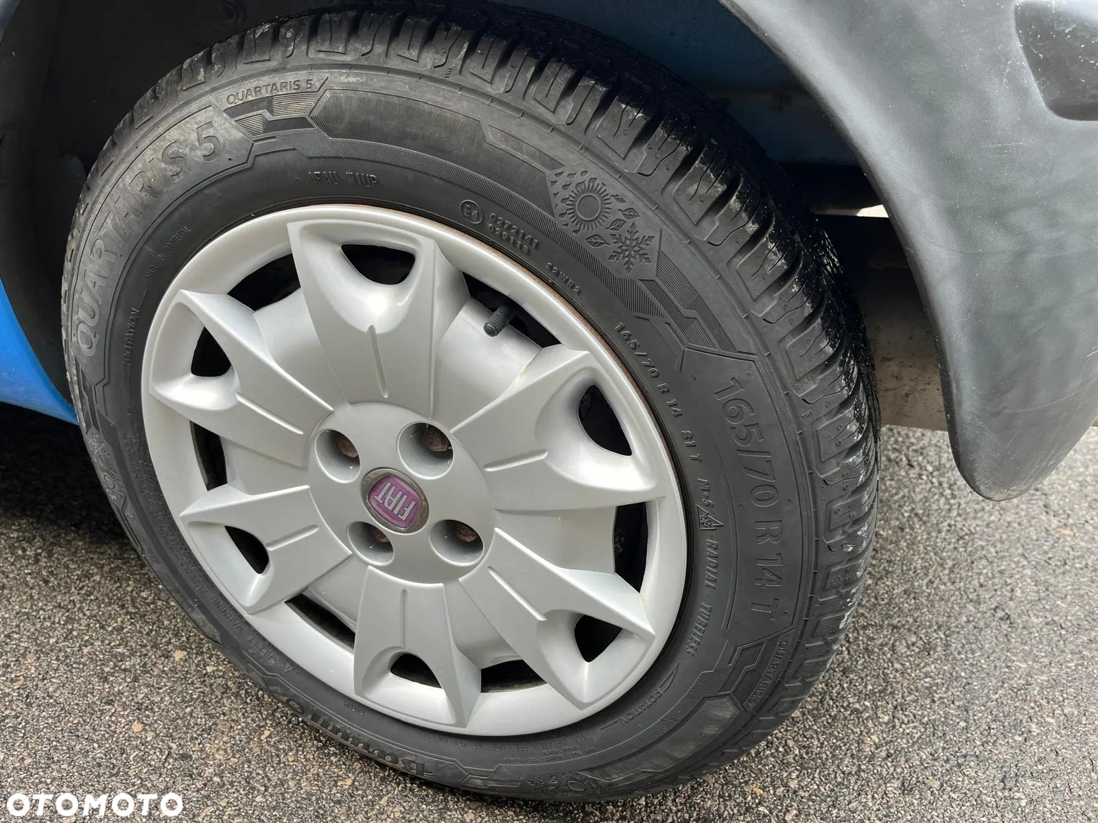 Fiat Panda 1.1 - 13