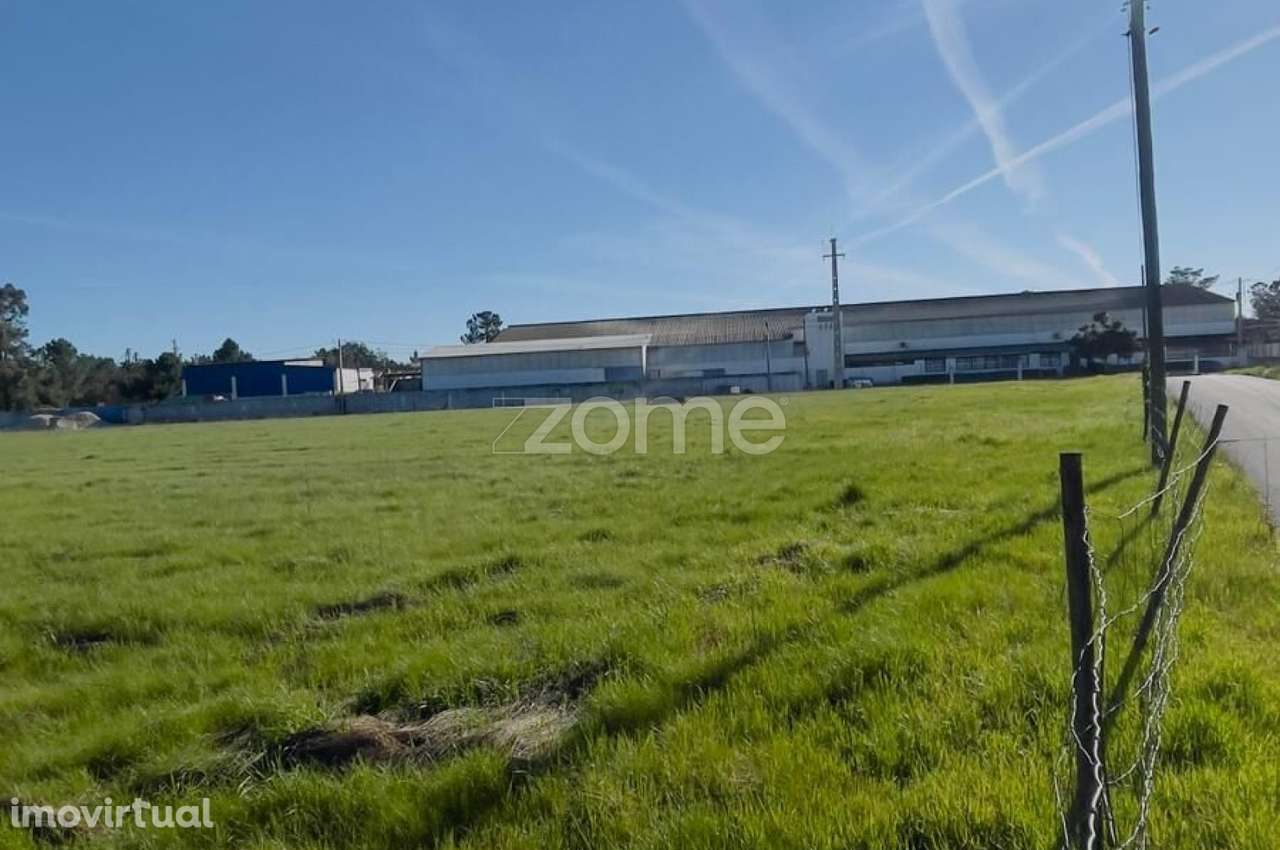 Terreno Rustico | Salvaterra de Magos - Grande imagem: 3/9