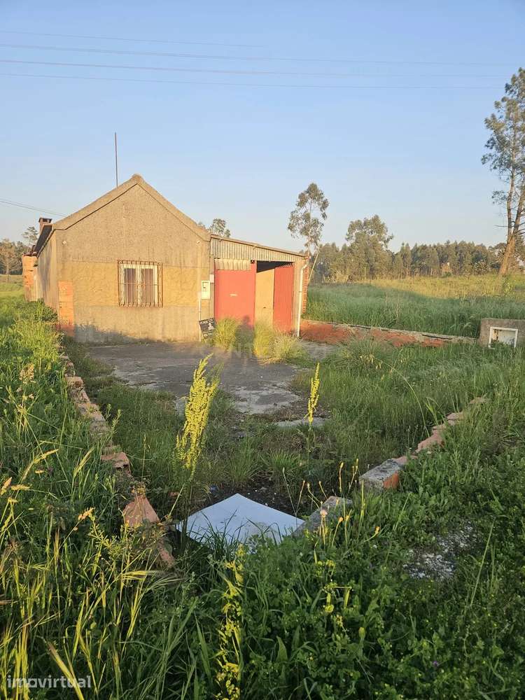 Moradia T2 Térrea para Reconstrução + Terreno de 712 m² em Bustos | Id - Grande imagem: 3/13