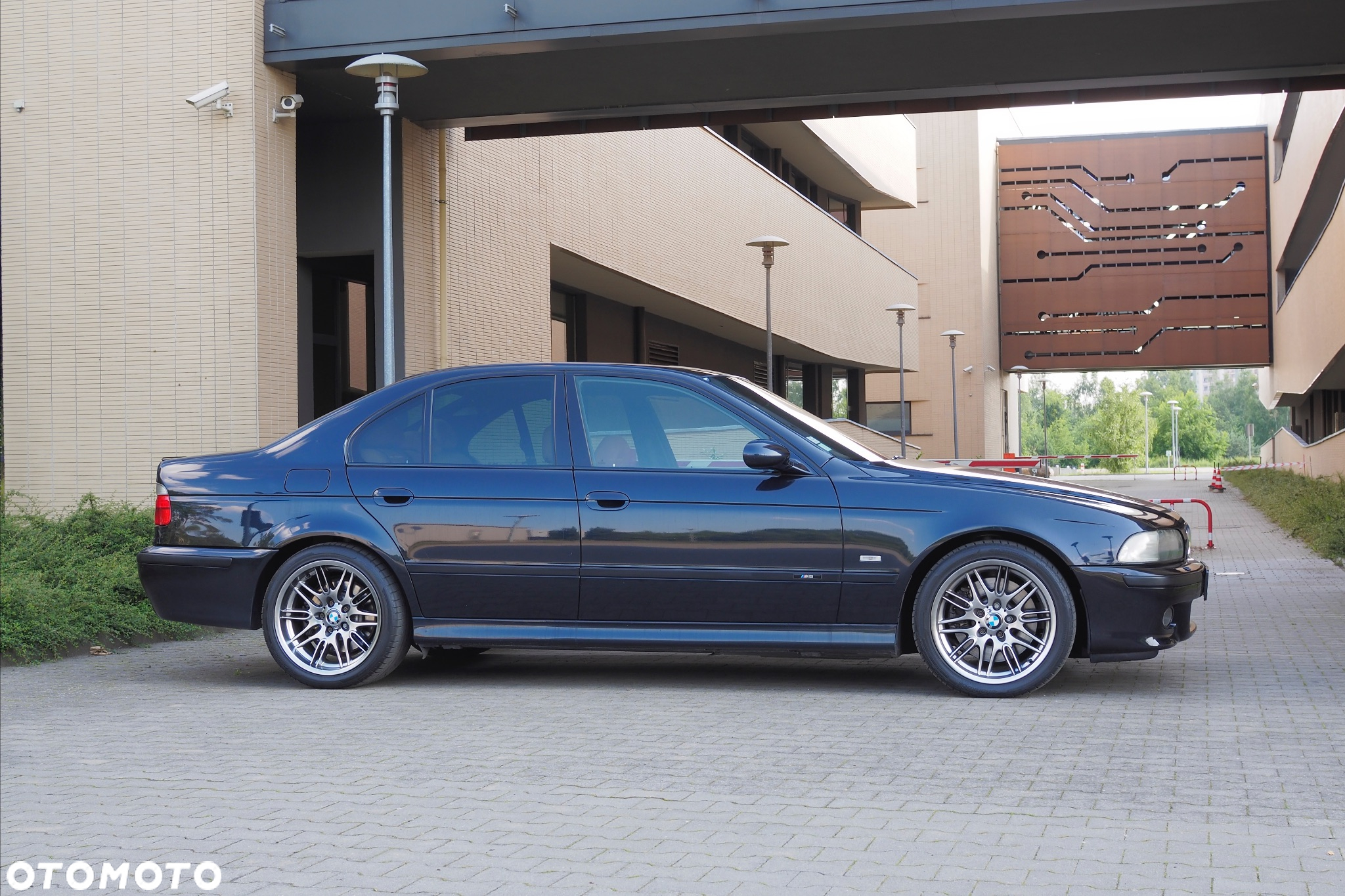 BMW M5 Standard - 7