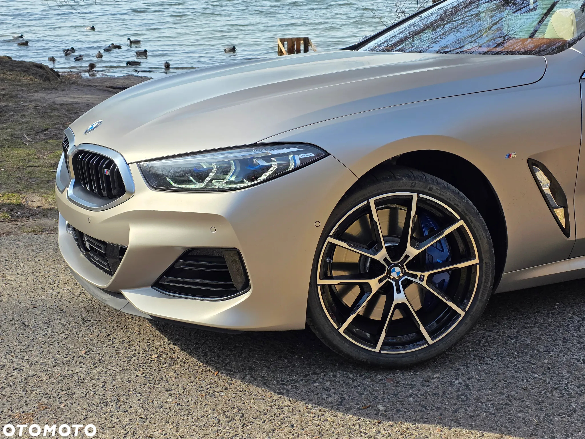 BMW Seria 8 M850i xDrive - 8