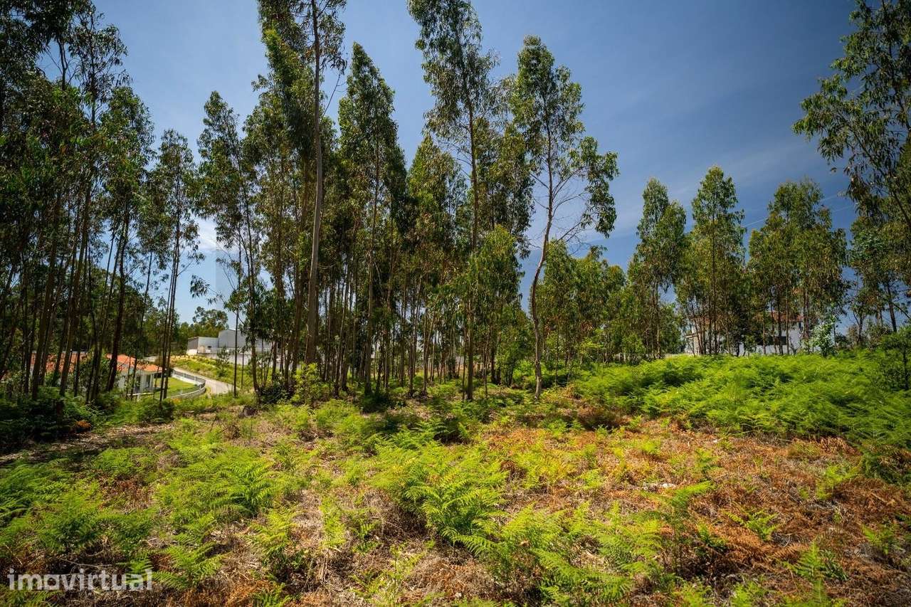 Oportunidade de Investimento em Terreno com 3524 m2 em Leiria - Grande imagem: 3/7