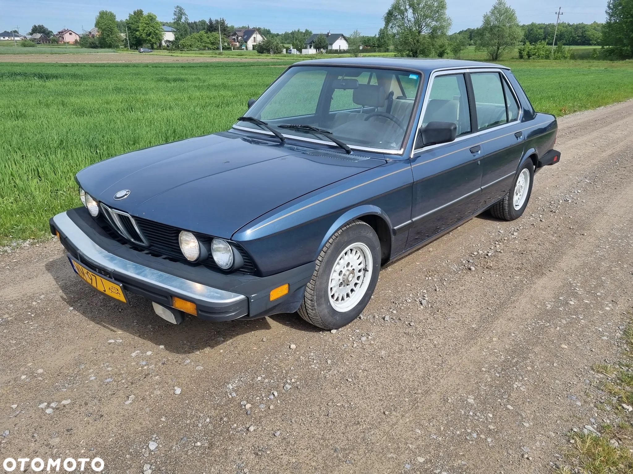 BMW Seria 5 - 1