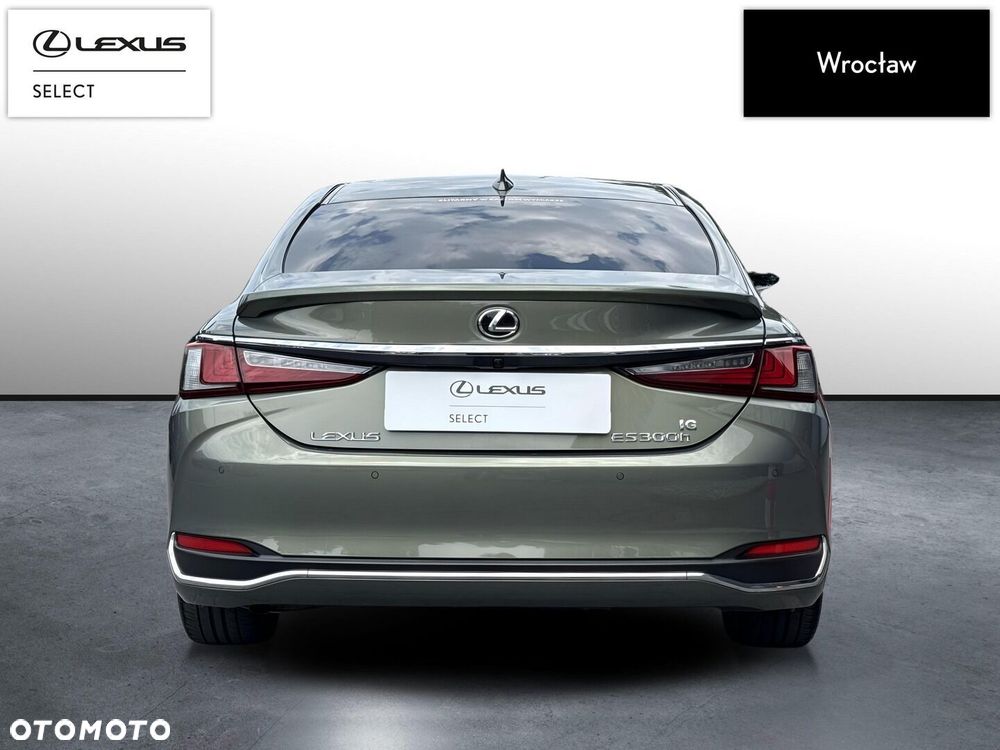 Lexus ES 300h Omotenashi - 4