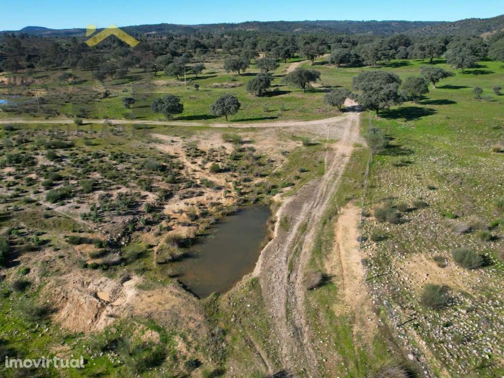 Propriedade com 16.6 hectares à beira do rio Ponsul - Grande imagem: 2/52