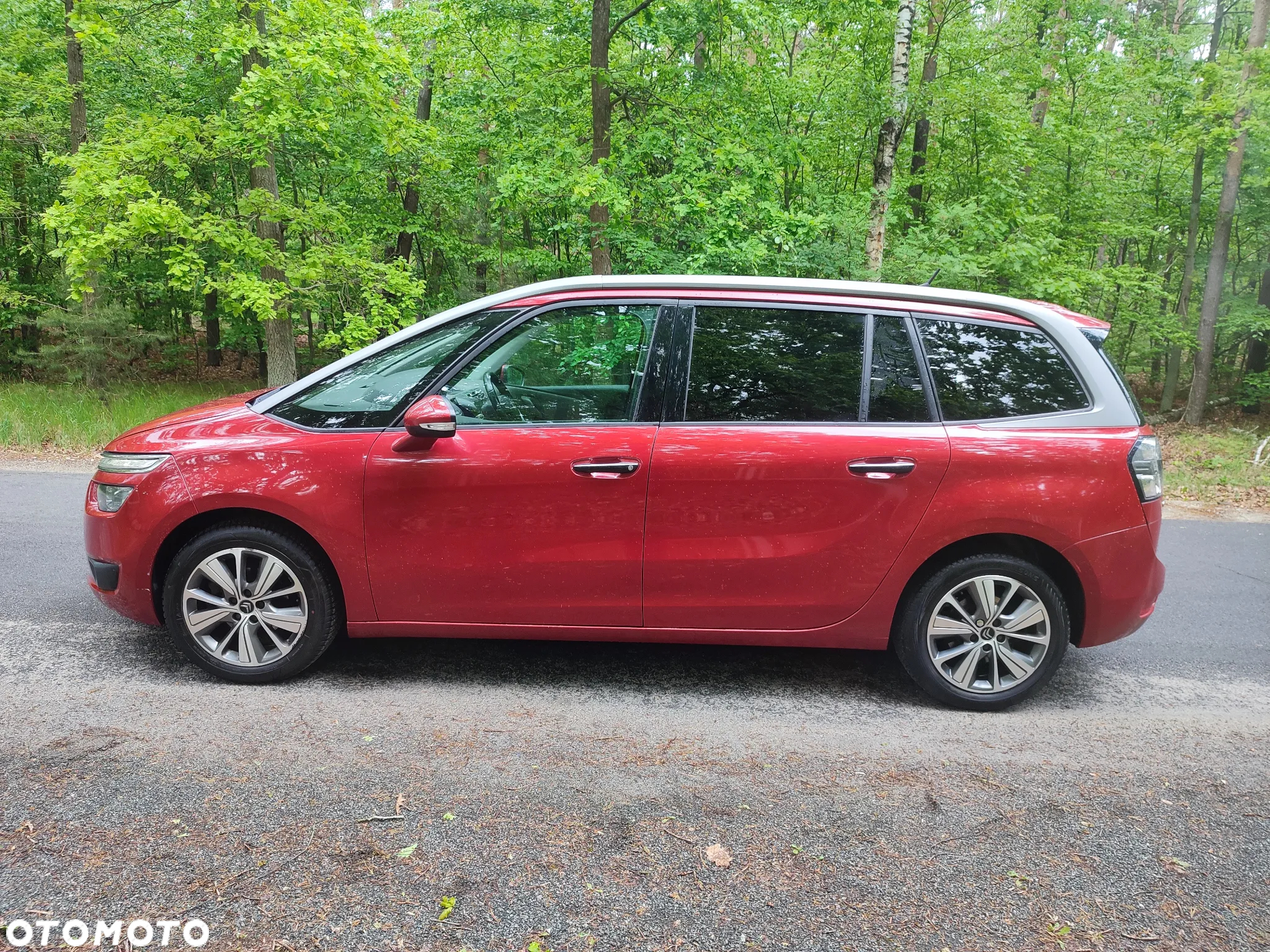 Citroën C4 Grand Picasso BlueHDi 120 Business Class - 6