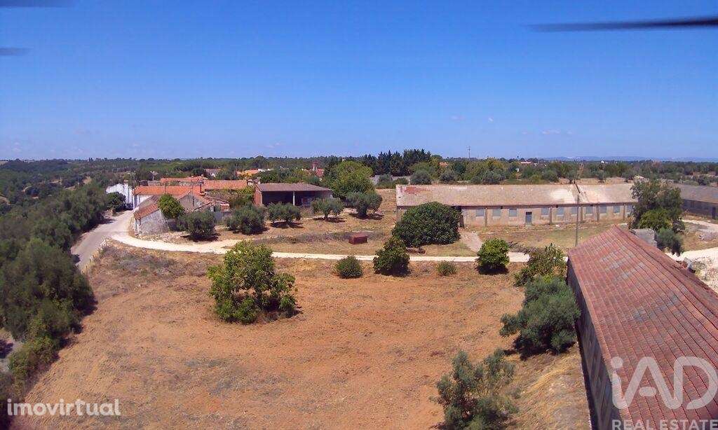 Quinta T3 em Almoster de 2364,00 m2 - Grande imagem: 3/30