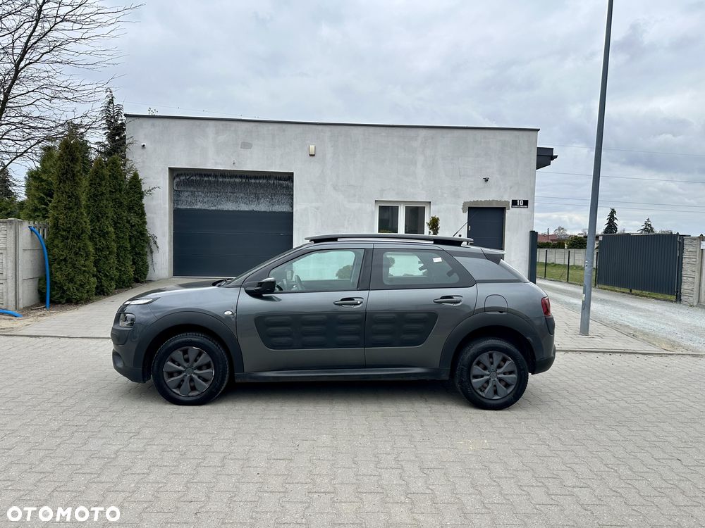 Citroën C4 Cactus 1.6 Blue HDi Shine - 2