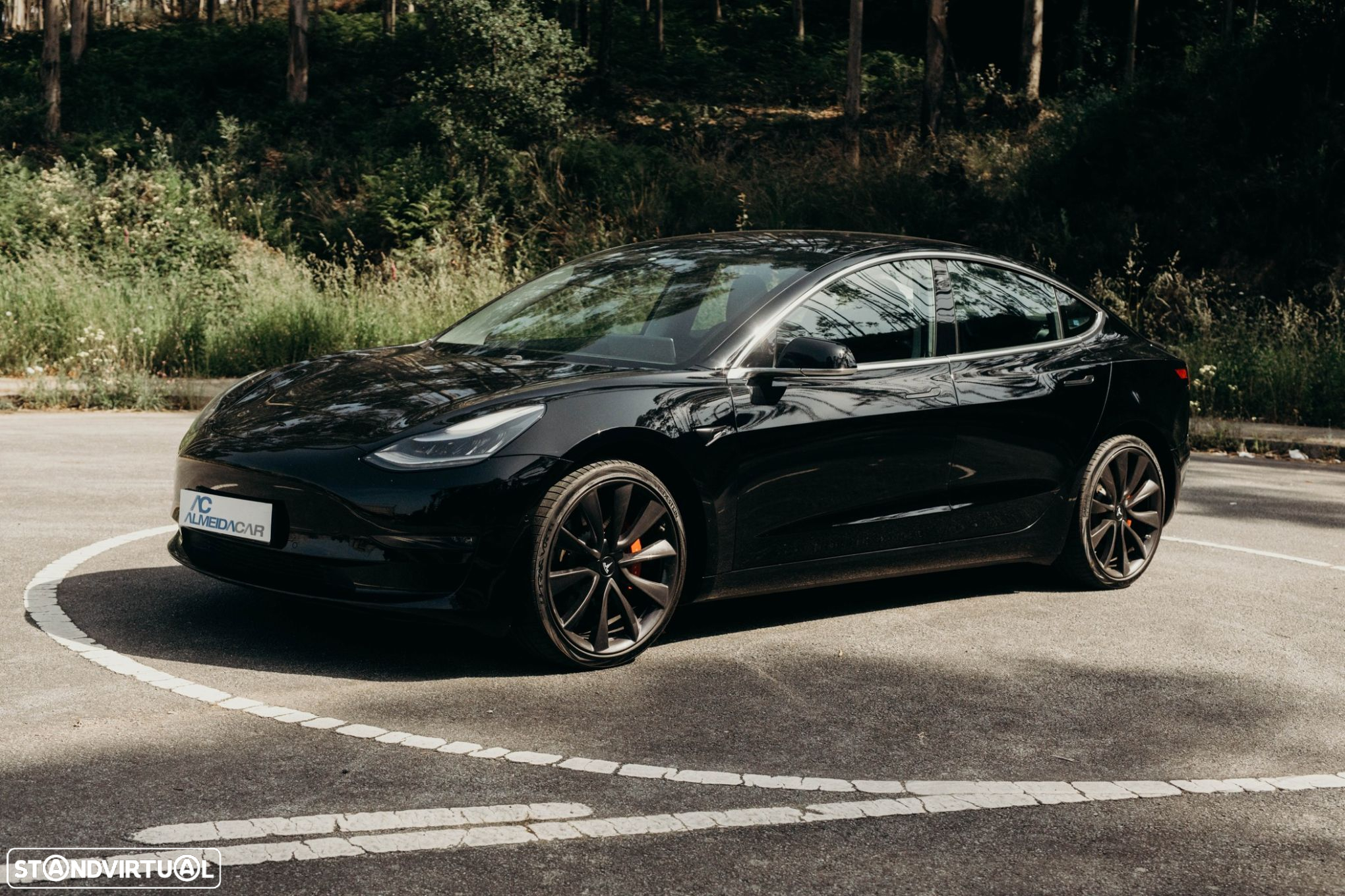 Tesla Model 3 Performance Dual Motor AWD - 7
