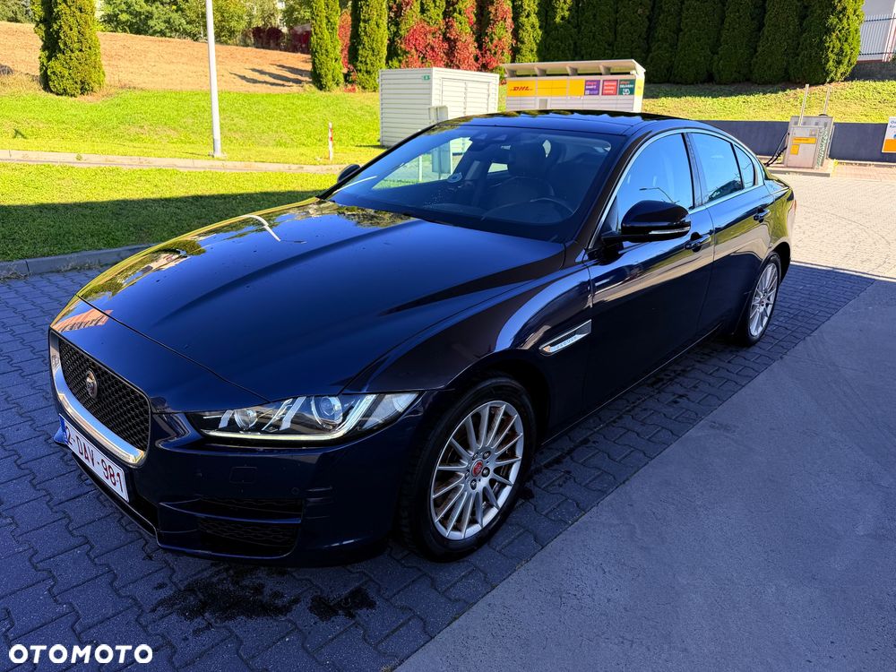 Jaguar Xe 2017 photo 5