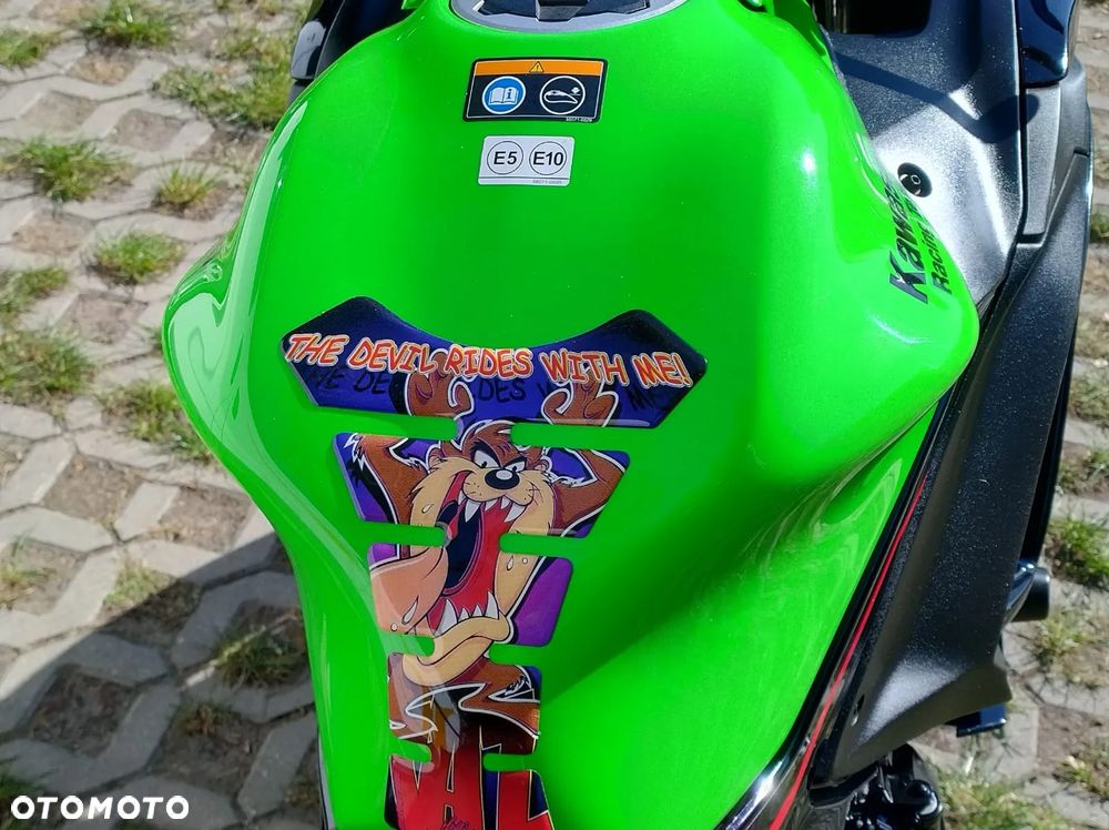 Kawasaki Ninja - 13