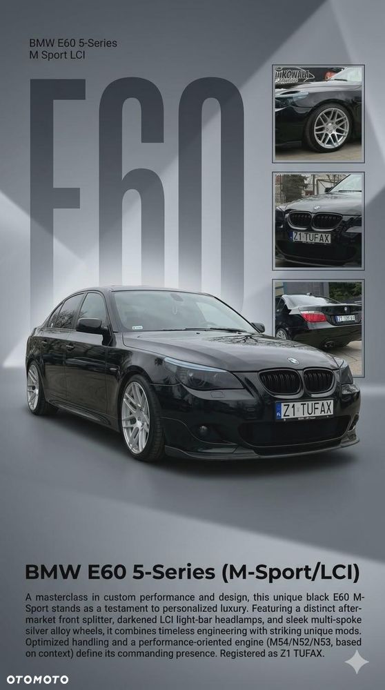 BMW Seria 5 525d - 16