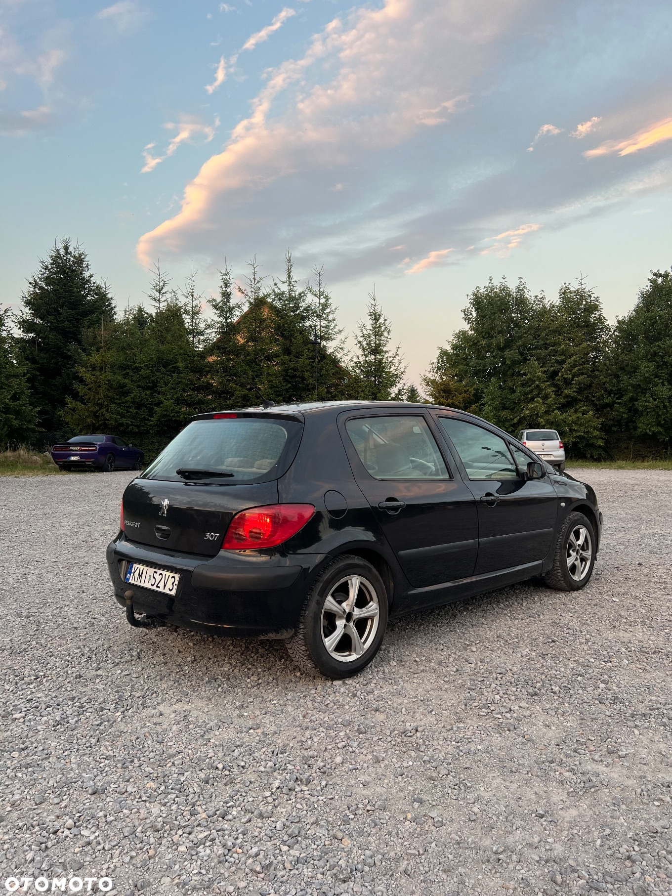 Peugeot 307 110 OXYGO - 2