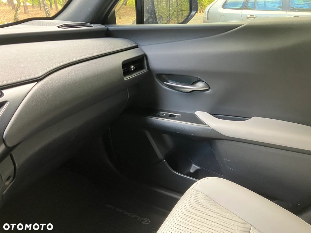 Lexus UX 300h - 20