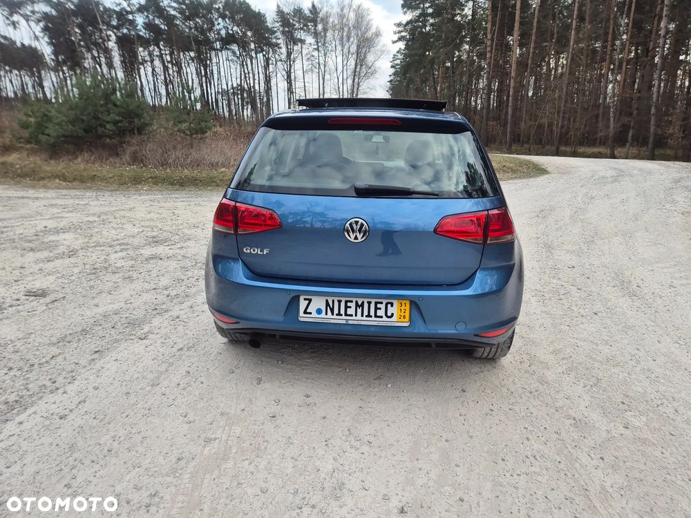 Volkswagen Golf - 16