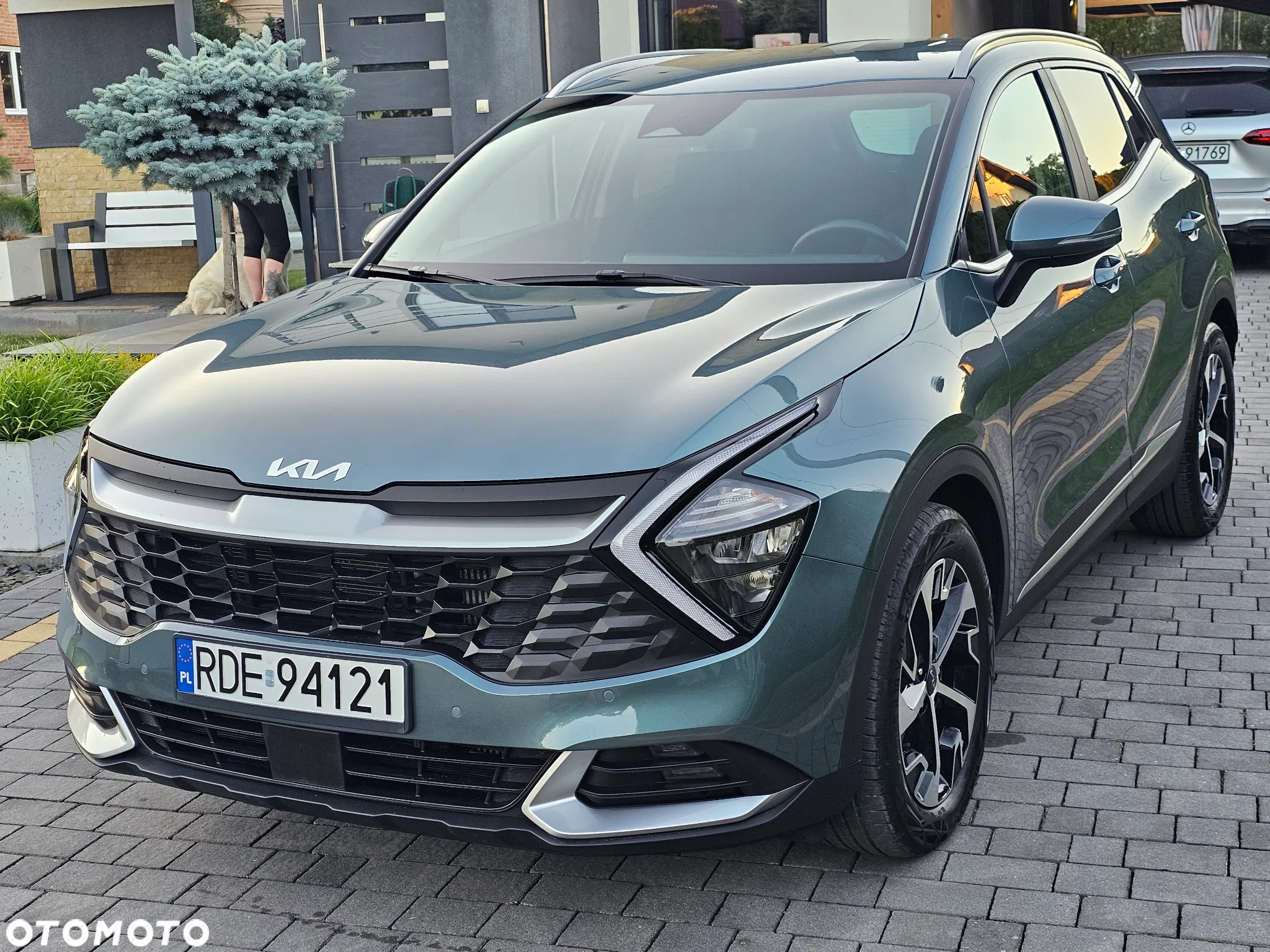 Kia Sportage 1.6 CRDI 2WD Eco-Dynamics+ (48V M-H) DCT Vision - 5