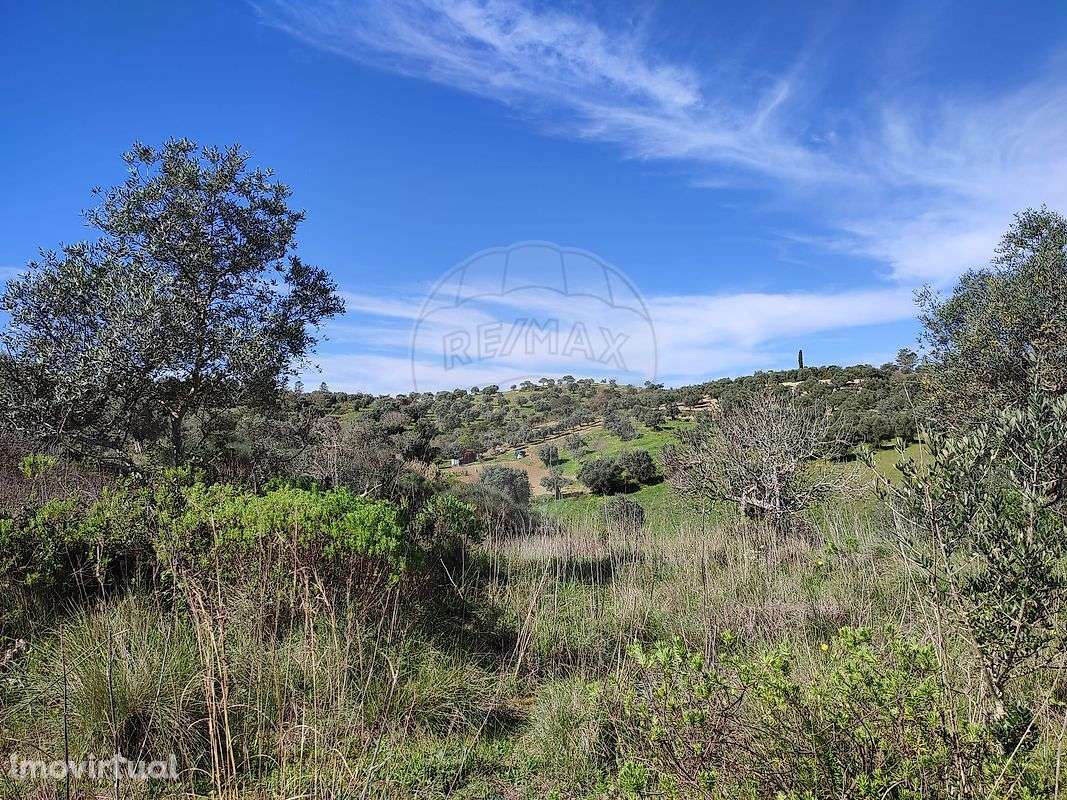 Terreno  para venda - Grande imagem: 5/16