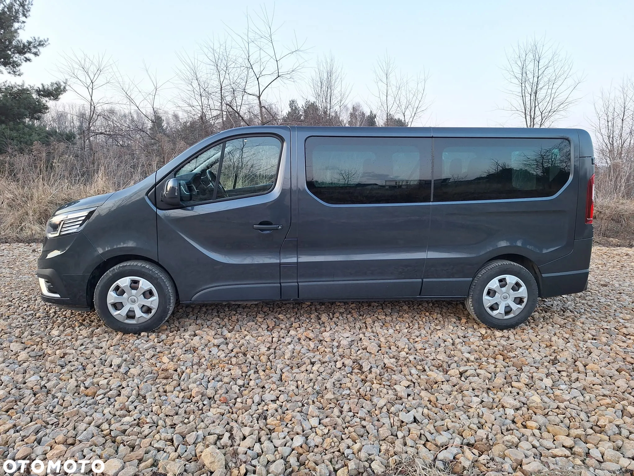 Renault Trafic - 3