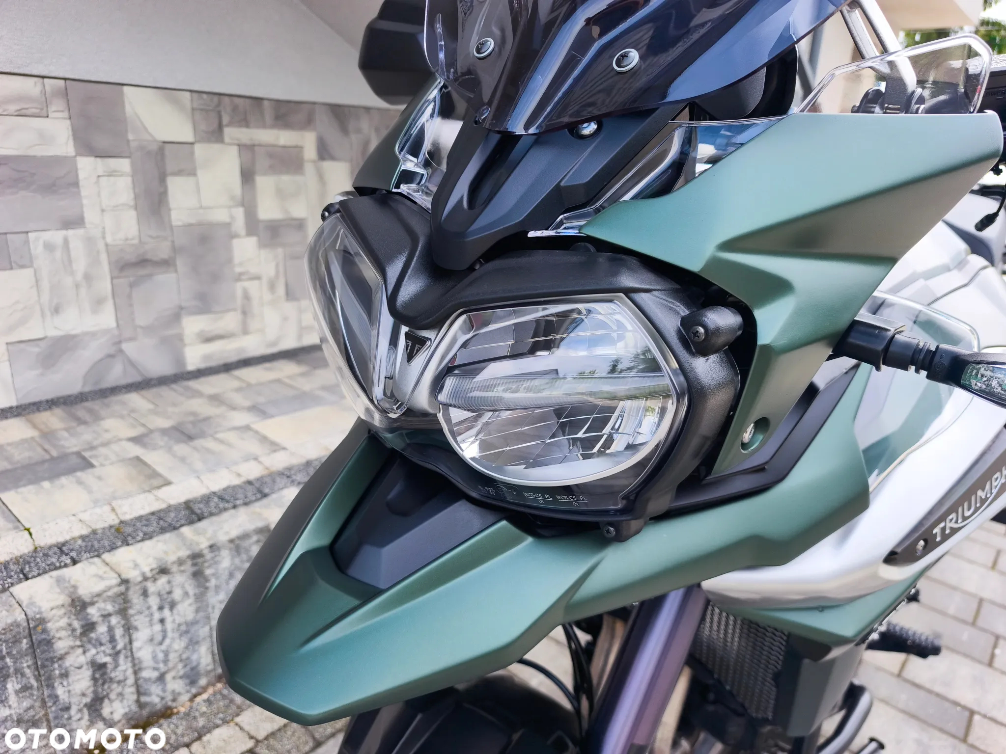Triumph Tiger - 31