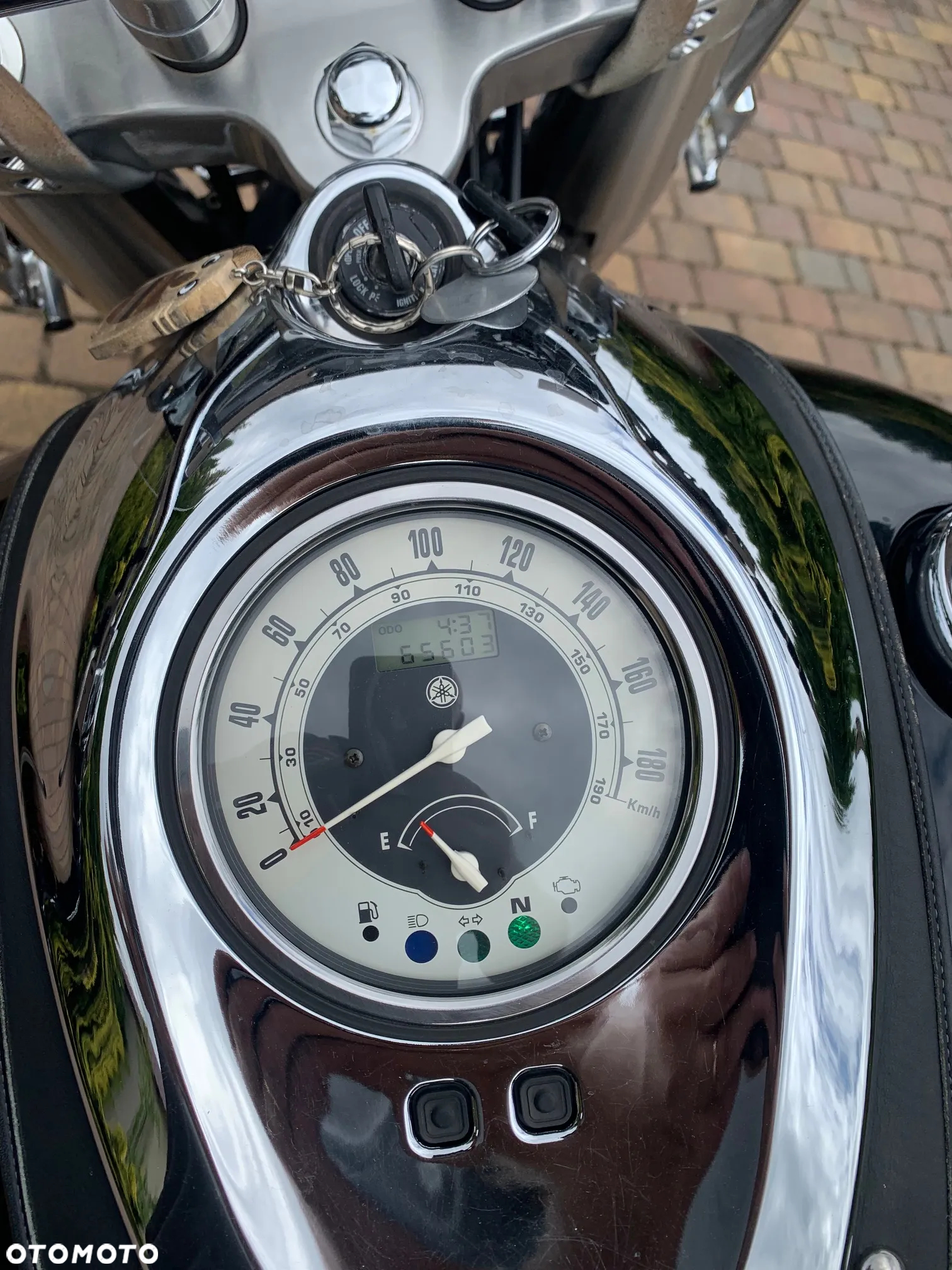 Yamaha Wild star - 8